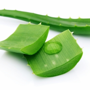 chiet-xuat-lo-hoi-than-duoc-cho-lan-da-trong-san-pham-collagen-glutathione