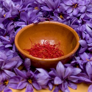 duong-da-cung-saffron-nano-noi-mua-ban-saffron-nano-tin-cay