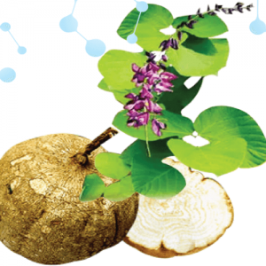 khoe-dep-cung-chiet-xuat-sam-to-nu-trong-collagen-glutathione